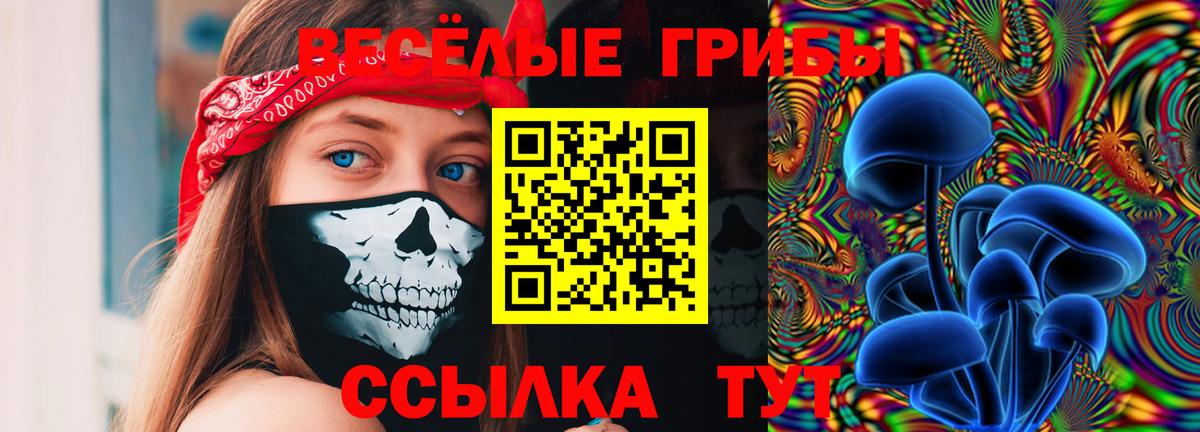 Псилоцибиновые грибы мицелий Нижневартовск