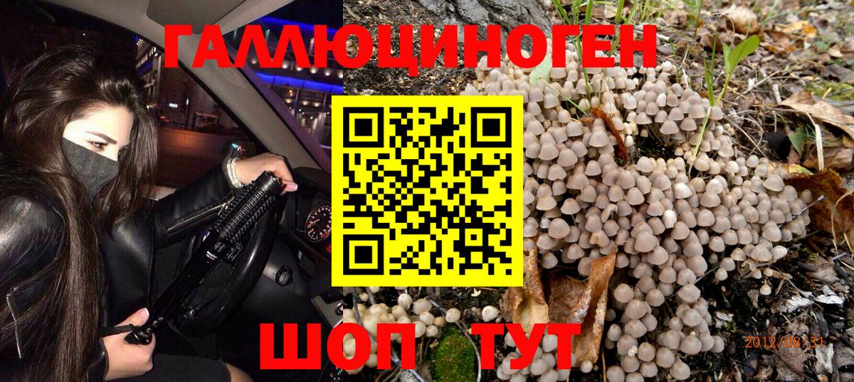 Галлюциногенные грибы мицелий  Галлюциногенные грибы GOLDEN TEACHER  Нижневартовск  Вход с VPN 